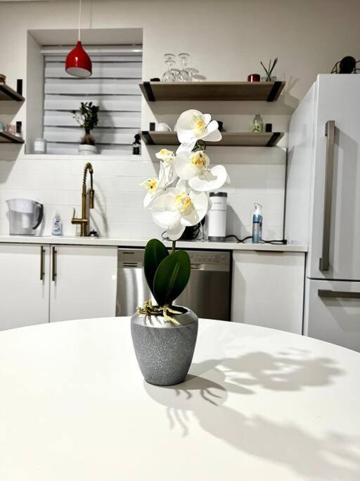 Luxury And Cozy 1 Bed Condo In The Heart Of Providence Exteriér fotografie